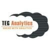 TEG Analytics Logo