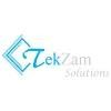 TekZam Solutions Logo