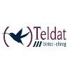 Teldat Group Logo
