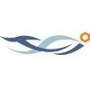 Telephone Systems International Logo