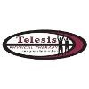 Telesis Physical Therapy Logo
