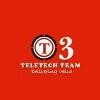TeleTech Team Logo