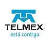 Telmex International Logo