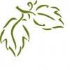 Temecula Valley Hospital Logo