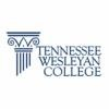 Tennessee Wesleyan College Logo
