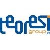 Teoresi Logo
