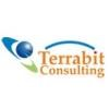 Terrabit Consulting Logo