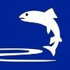Test Valley BC Logo