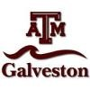 Texas A & M University AT Galveston Logo