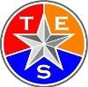 Texas Engineering Solutions Logo