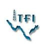 Texas First Industrial Group Logo