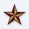 Texas State Logo
