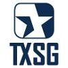 Texas Systems Group Logo