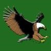 Thatcher Unified School District Logo