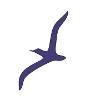 The Albatross Group Logo