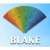 The Blake Organisation Logo