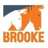 The Brooke Logo