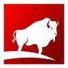 The Buffalo Group Logo