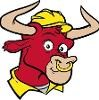 The BullBag Logo