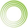 The CAS Group Logo