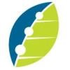 The Center for Organizational Excellence Logo