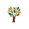 The Center for Youth and Family Solutions Logo