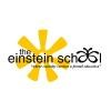 The Einstein School Plano Logo