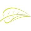 The Health Store Logo