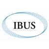 The IBUS Company Logo