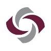 The Institute of Professional Practice Logo