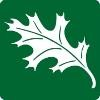 The Lexington School Logo