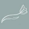The Maas Clinic Logo