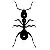 The Media Ant Logo