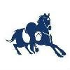 The Mounted Games Shop Logo