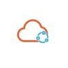 The Network Cloud Logo