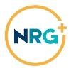 The Northridge Group Logo