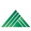 The Peak Organization Logo