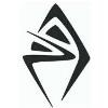 The Performance Academy Logo