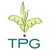 The Plant Gallery Logo