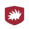 The Roman Guy Logo