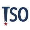 The Sanford Organization Logo