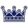 The Saxoncourt Group Logo