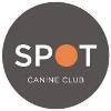 The Spot Experience Logo