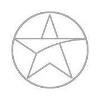 The Star Group Logo