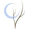 The Urban Muse Logo