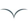The Veloz Group Logo
