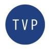 The Vidal Partnership Logo