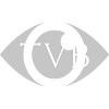 The Visual Brand Logo