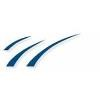 The Weston Group Logo