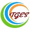 Think Global Education Services Logo